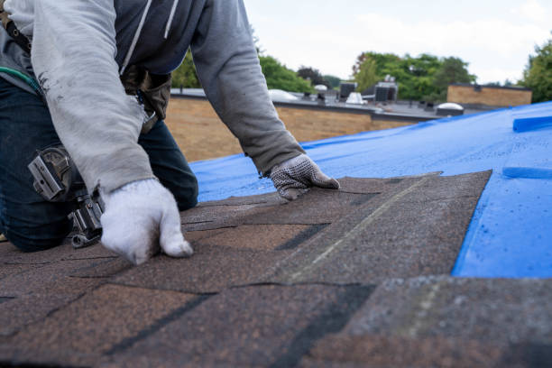 Best Residential Roof Replacement  in Normal, IL