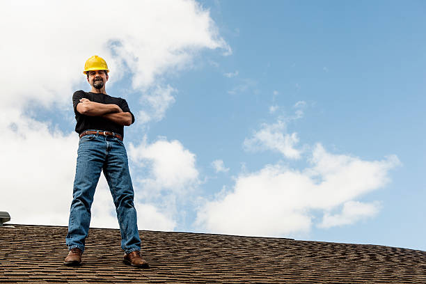 Best Roof Gutter Cleaning  in Normal, IL