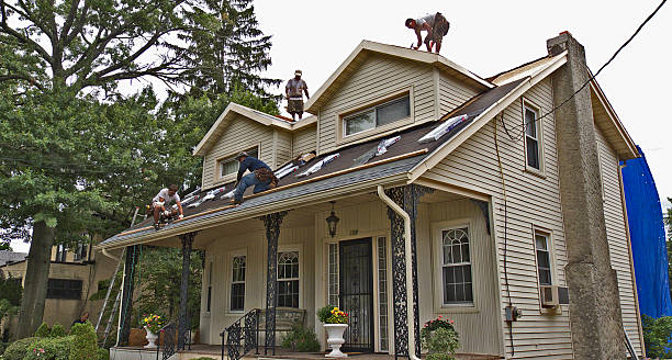Best Storm Damage Roof Repair  in Normal, IL